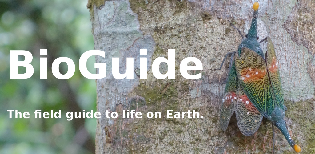 BioGuide - The field guide to life on Earth.